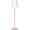 Image de Newgarden, Éclairage d'extérieur, LOLA SLIM 180 LED Lampadaire or rose 180cm dimmable + contrôleur E27 intérieur & extérieur IP65 (600 lm, E27, IP65)