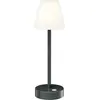 Image de Newgarden, Lampe de table, Lola Slim anthracite (260 lm, E27)