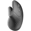 Image de Anima Souris Ergonomique Mmwergopro
