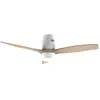 Image de Evvo Ventilateur De Plafond V551 Wifi