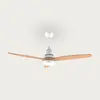 Image de Evvo Ventilateur De Plafond V540
