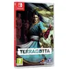 Image de Nintendo Games Switch Terracotta