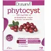 Image de Drasanvi Comprimés Phytocyst 30 Unités