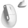 Image de Subblim Souris Ergonomique Sans Fil Nature Vertical Ergo Dual Battery