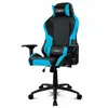 Image de Drift Chaise Gaming Dr250bl
