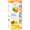 Image de Drasanvi Propolkid Sirop Pour Enfants 150ml