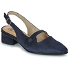 Image de Ballerines Dorking TEA femme