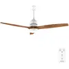 Image de Cecotec Ventilateur De Plafond Energysilence Aero 5230