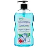 Image de Dema Savon Pour Les Mains Naturaphy Aloe Vera 650ml One Size
