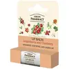 Image de Schubiger, Soin pour les lèvres, Elfa Pharm Green Pharmacy Baume à Lèvres Canneberge Intensivement Nourrissant SPF 10 5ml (Baume à lèvres, 5 ml)