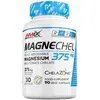 Image de Amix Capsules Magnechel Magnesium Chelate 90 Unités