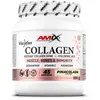 Image de Amix Collagène Viscofan® 300g Piña Colada