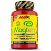 Image de Amix Magnésium L-threonate Magtein® 90 Unités