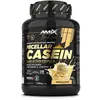 Image de Amix Protéine Black Micellar 1kg Casein Vanille
