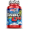 Image de Amix Capsules Tribulyn 40% Anabolic Naturel 120 Unités