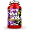 Image de Amix Masse Musculaire Tribu-zma 90 Unités