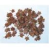Image de Plus Model Feuilles d'érable Feuilles