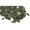 Image de Plus Model feuilles de cerisier vertes