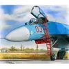 Image de Plus Model Échelle pour Su-27