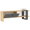 Image de Hanah Home, Meuble TV, Delaney (120 x 25 x 36.80 cm)