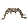 Image de Boland Araignée dure (1 pcs)