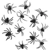 Image de Boland 12 araignées (12 pcs)
