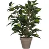 Image de Mica, Plantes artificielles, Plante artificielle Ficus natasja Ø 30 H 40 cm vert (40 cm)