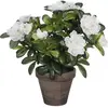 Image de Mica Decorations, Plantes artificielles, Azalée artificielle blanche en pot (27 cm)