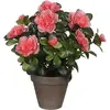 Image de Mica Decorations, Plantes artificielles, Plante décorative (27 cm)