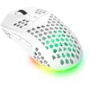 Image de Souris Gaming sans fil Trust GXT 929W Helox Blanc