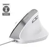 Image de Trust Bayo II (Filaire), Souris, Blanc