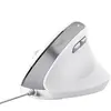 Image de Trust Souris Ergonomique Sans Fil Bayo Ii