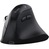 Image de Trust Vyran Ergonomische Draadloze Hyperscrol Muis