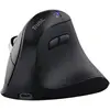 Image de Trust Souris Sans Fil Vyran 3200dpi