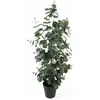 Image de Atmosphera, Plantes artificielles, Eucalyptus Leaf Large (78 cm)
