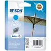 Image de Epson, Cartouche d'impression, T0452 DuraBrite (C)