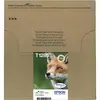 Image de Epson, Cartouche d'impression, T1285 Easy Mail Packaging - pack de 4 - noir, jaune, cyan, magenta (C, CF, M, Y)