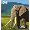 Image de Epson, Cartouche d'impression, Carton à encre/24 Elephant BK/CY/MG/YL/LCY/LMG (C, CF, LC, LM, M, Y)