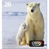 Image de Epson, Cartouche d'impression, MULTIPACK 4-COLOURS 26 CLARIA (C, CF, M, Y)