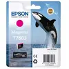 Image de Epson Ink Cartouche D´encre Sc-p600