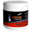 Image de Born Poudre De Créatine Saveur Neutre 300g