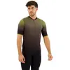 Image de Shimano Maillot à Manches Courtes Evolve Avventura
