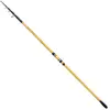 Image de Shimano Fishing Canne De Surfcasting Télescopique Beastmaster Fx