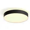 Image de Philips Hue, Applique + plafonnier, White Ambiance Enrave (4500 lm)