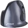 Image de Bakkerelkhuizen Souris Ergonomique Sans Fil Evoluent D