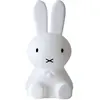 Image de Mr Maria, Lampadaire, Lampe Miffy XL