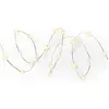 Image de Lumineo, Guirlande lumineuse, Solar garland 9,9mt 100 leds (9.90 m)