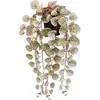 Image de Mica Decorations, Plantes artificielles, Ceropegia Woodii (12 cm)