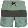 Image de O'Neill, Hommes, Short de bain, Mix & Match Cali Block 15" Short De Natation, Vert, (L)