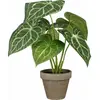 Image de Mica Decorations, Plantes artificielles, Caladium (28 cm)